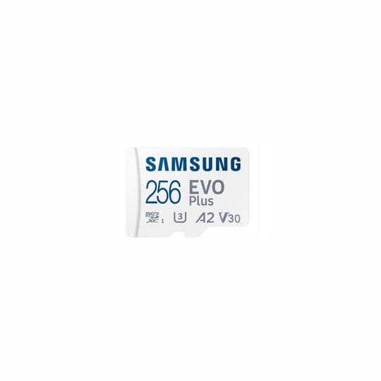 Аренда Micro SD Samsung EVO Plus 256 ГБ class 10 U3